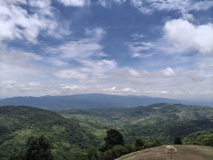 Akha FarmVille Chiang Rai Mountain View Akha FarmVille sheep farm with panoramic mountain views in Chiang Rai