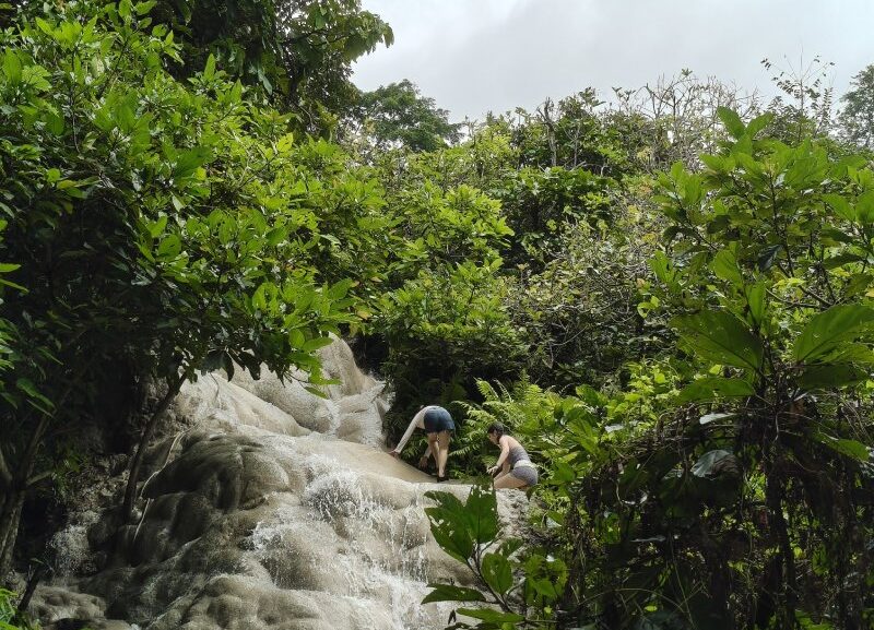 Discover Bua Tong Sticky Waterfall