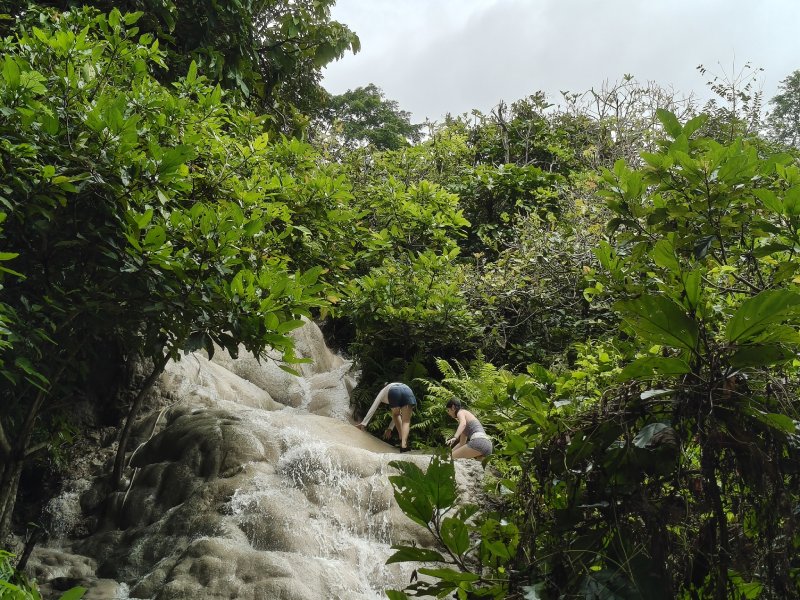 Bua Tong Sticky Waterfall Chiang Mai Discover Bua Tong Sticky Waterfall