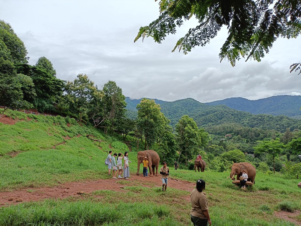 Elefin Farm & Cafe Chiang Mai is a must-see!