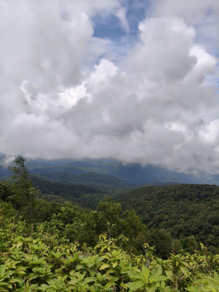 Doi Inthanon Enjoy the freedom of discovering Thailand’s highest mountain region.