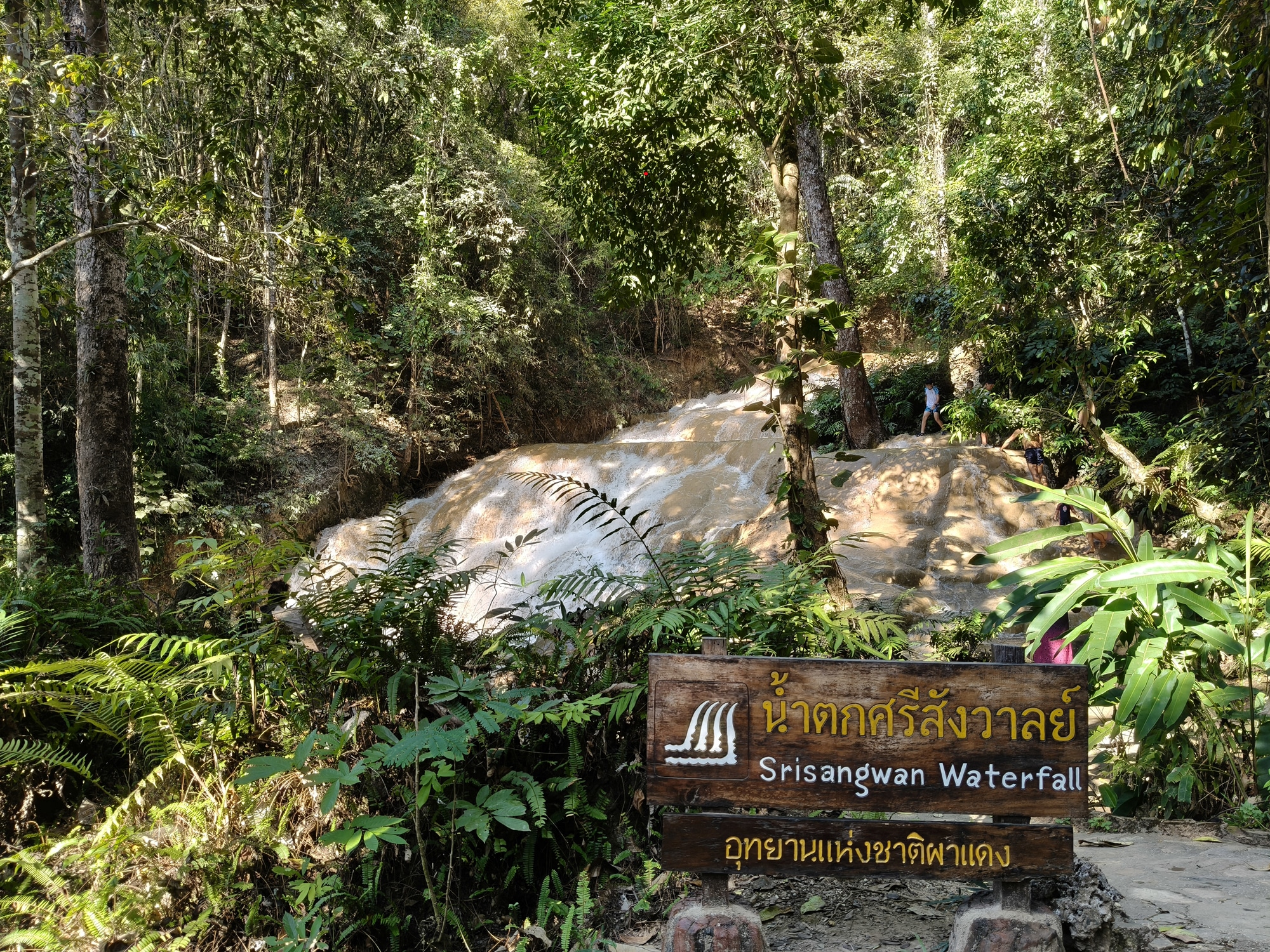 Discover Pha Daeng National Park - Chiang Dao