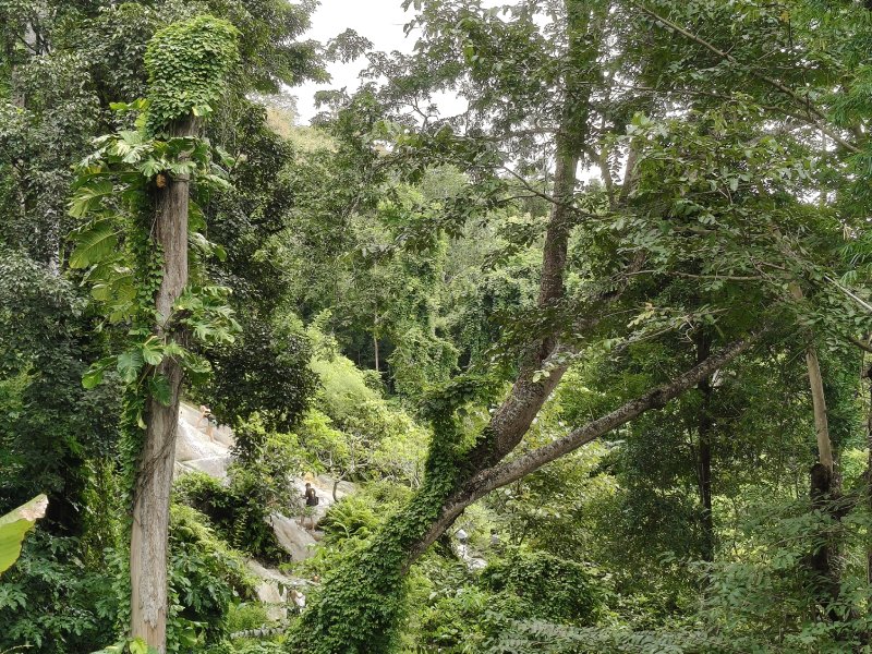 Hidden Nature Spot Near Chiang Mai Northern Thailand Forest Scenery