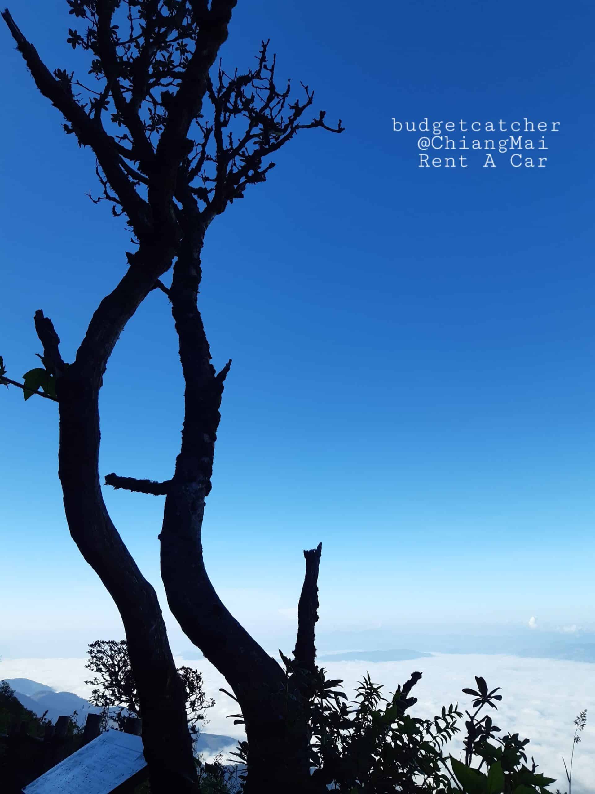 Kew Mae Pan Natural Trail