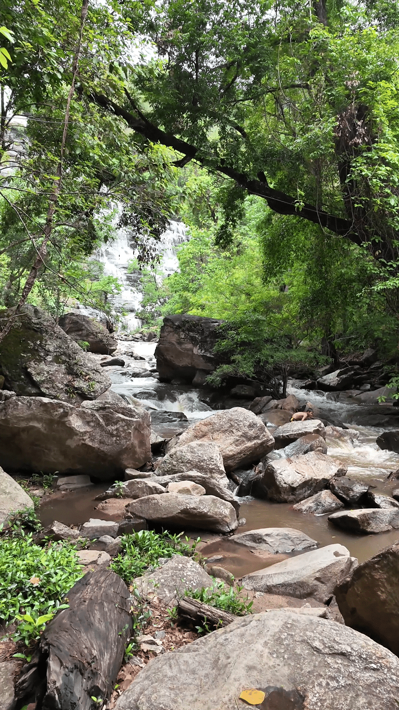 Mae Ya Waterfall Chiang Mai Powerful cascade of Mae Ya Waterfall flowing over rocks in northern Thailand