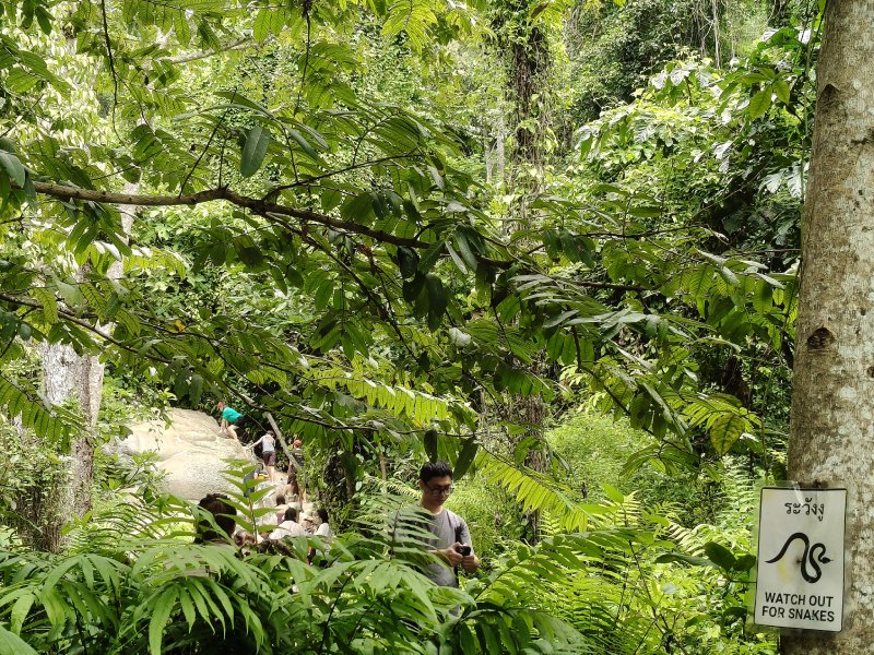 Natural Beauty Around Bua Tong Waterfall Discover the natural beauty of Bua Tong Sticky Waterfall