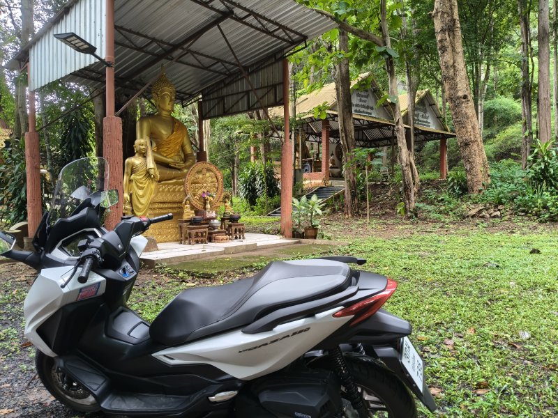 Bua Tong Temple Chiang Mai Temple Near Bua Tong Sticky Waterfall