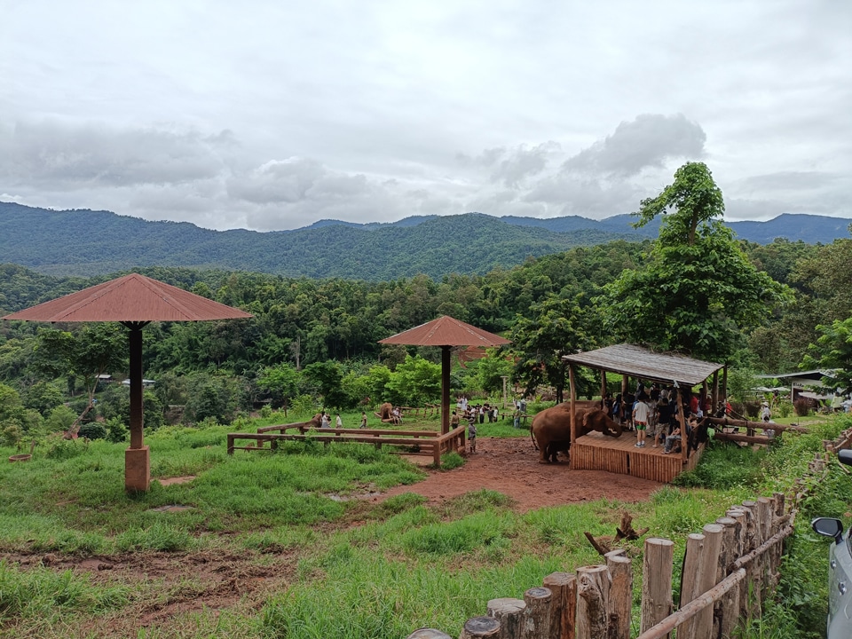 Elefin Farm and Cafe - Spend an Incredible & Ethical Day with Elephants in Chiang Mai.