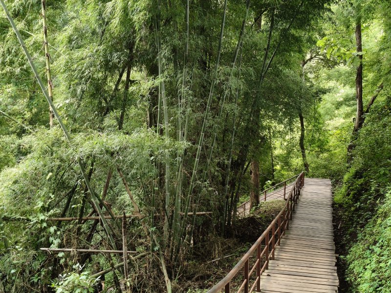 Beautiful Nature at Bua Tong Waterfall Northern Thailand adventure at Bua Tong Sticky Waterfall near Chiang Mai