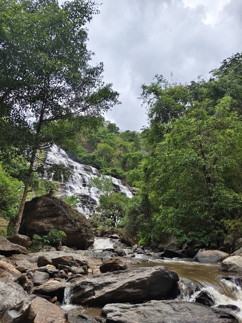View of Mae Ya Waterfall from the base in Doi Inthanon National Park Cool off in nature at Mae Ya Waterfall, surrounded by lush green forest.