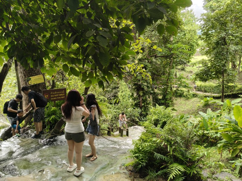 Nature Around Bua Tong Sticky Waterfall Visit Bua Tong Sticky Waterfall in Chiang Mai
