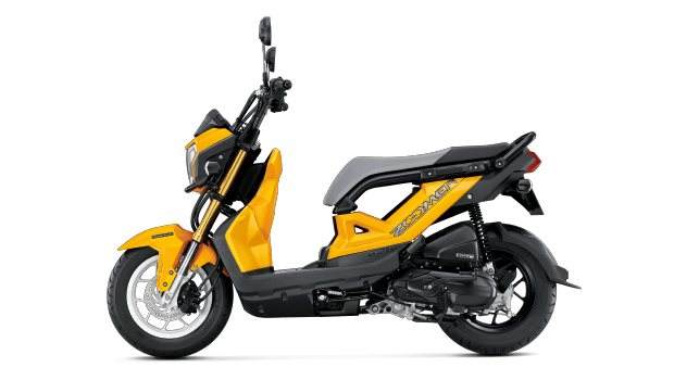 Honda Zoomer X | Motorbike & Scooter Rentals in Chiang Mai